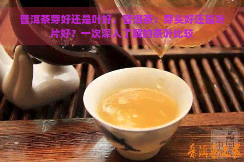 普洱茶芽好还是叶好，普洱茶：芽头好还是叶片好？一次深入了解的茶叶比较