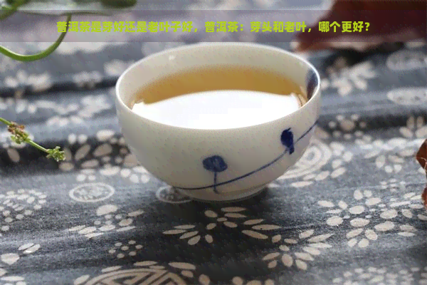 普洱茶是芽好还是老叶子好，普洱茶：芽头和老叶，哪个更好？