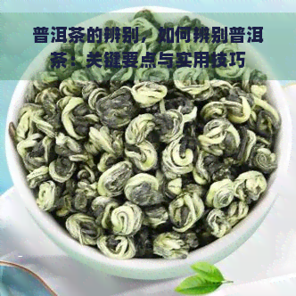 普洱茶的辨别，如何辨别普洱茶：关键要点与实用技巧