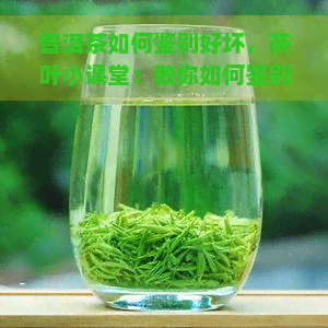 普洱茶如何鉴别好坏，茶叶小课堂：教你如何鉴别普洱茶的优劣