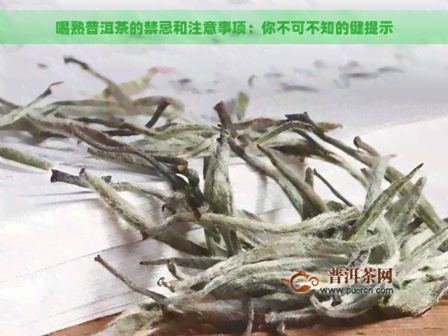 喝熟普洱茶的禁忌和注意事项：你不可不知的健提示