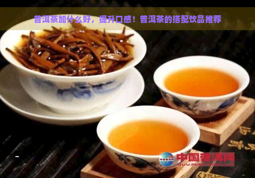 普洱茶加什么好，提升口感！普洱茶的搭配饮品推荐