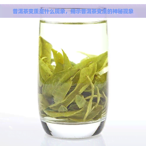 普洱茶变质是什么现象，揭示普洱茶变质的神秘现象