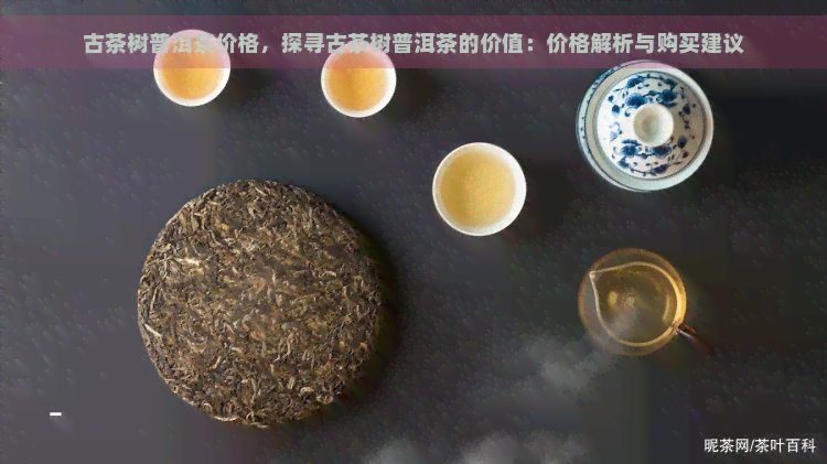 古茶树普洱茶价格，探寻古茶树普洱茶的价值：价格解析与购买建议