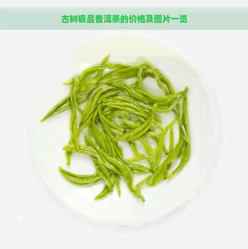 古树极品普洱茶的价格及图片一览