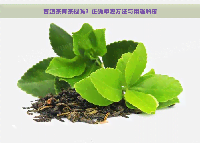 普洱茶有茶棍吗？正确冲泡方法与用途解析