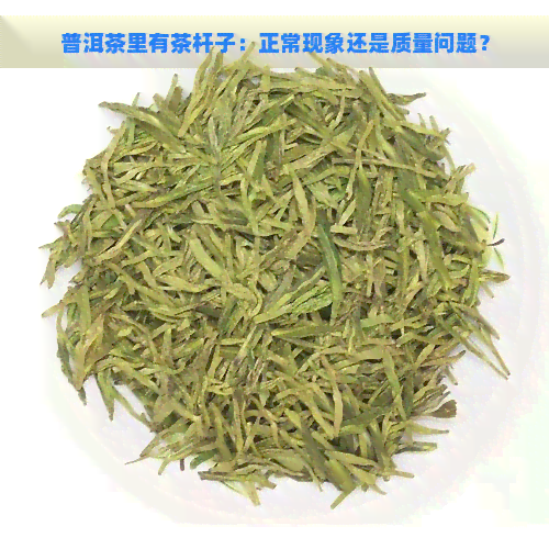 普洱茶里有茶杆子：正常现象还是质量问题？