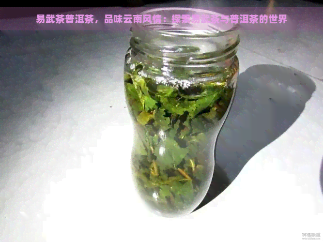 易武茶普洱茶，品味云南风情：探索易武茶与普洱茶的世界