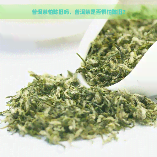 普洱茶怕陈旧吗，普洱茶是否惧怕陈旧？