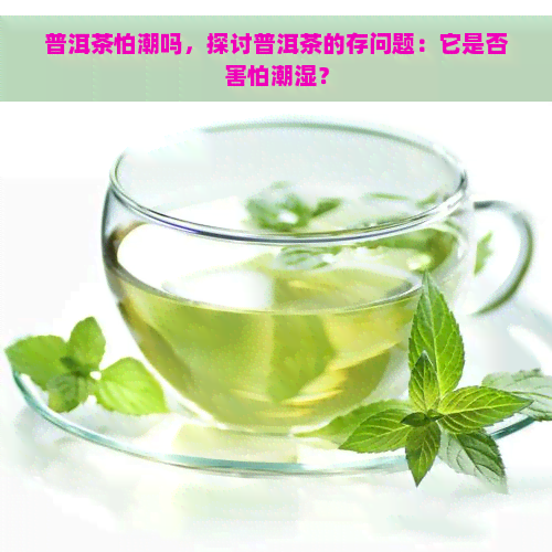 普洱茶怕潮吗，探讨普洱茶的存问题：它是否害怕潮湿？