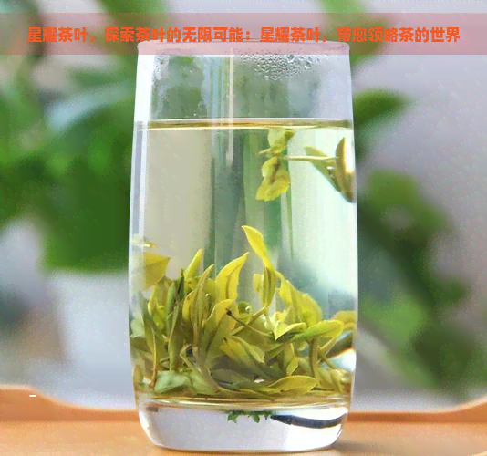 星耀茶叶，探索茶叶的无限可能：星耀茶叶，带您领略茶的世界