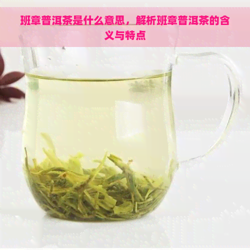 班章普洱茶是什么意思，解析班章普洱茶的含义与特点