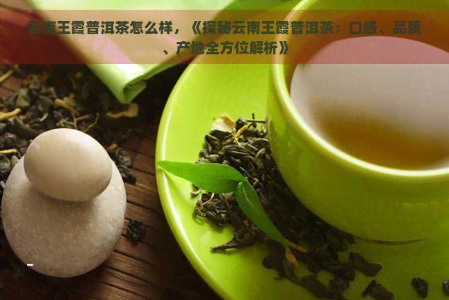 云南王霞普洱茶怎么样，《探秘云南王霞普洱茶：口感、品质、产地全方位解析》