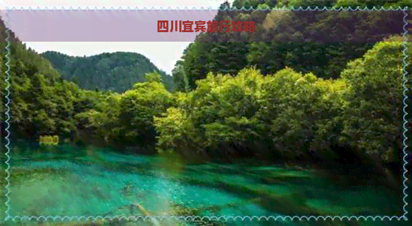 Binance Casino - 领先的数字货币娱乐场，安全稳定，极速存取四川宜宾旅行攻略
