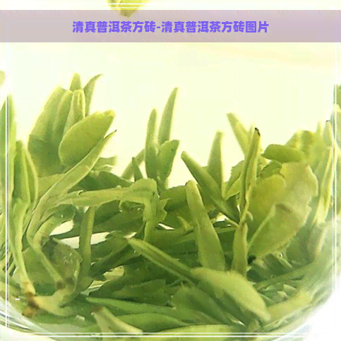      普洱茶方砖-     普洱茶方砖图片