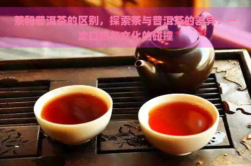茶和普洱茶的区别，探索茶与普洱茶的差异：一次口感与文化的碰撞