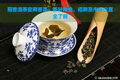 阳普洱茶官网首页：茶叶种类、招聘及市场位置全了解