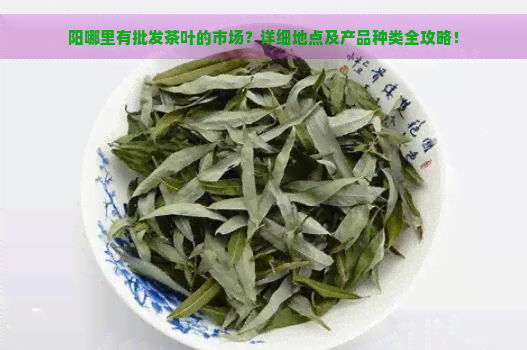 阳哪里有批发茶叶的市场？详细地点及产品种类全攻略！