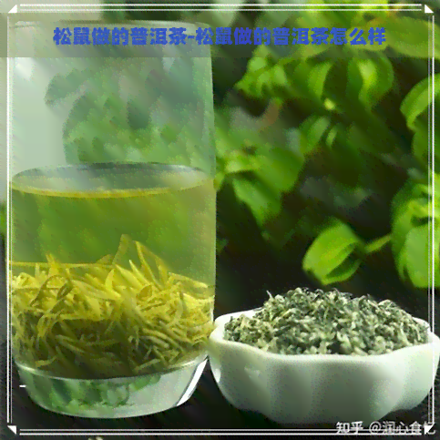 松鼠做的普洱茶-松鼠做的普洱茶怎么样