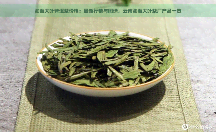 勐海大叶普洱茶价格：最新行情与图谱，云南勐海大叶茶厂产品一览