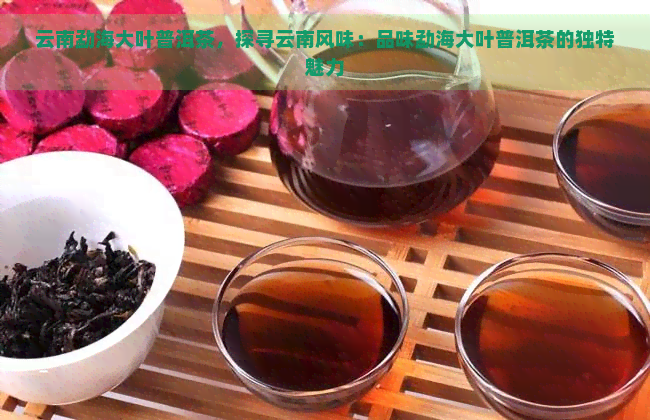 云南勐海大叶普洱茶，探寻云南风味：品味勐海大叶普洱茶的独特魅力