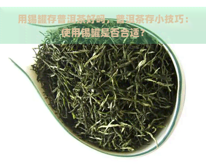 用锡罐存普洱茶好吗，普洱茶存小技巧：使用锡罐是否合适？