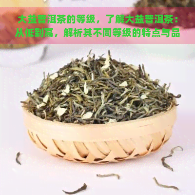 大益普洱茶的等级，了解大益普洱茶：从低到高，解析其不同等级的特点与品质