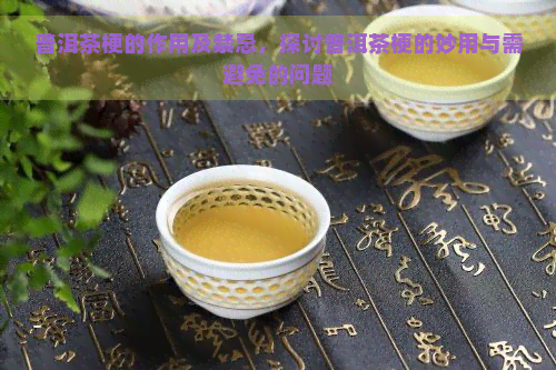 普洱茶梗的作用及禁忌，探讨普洱茶梗的妙用与需避免的问题