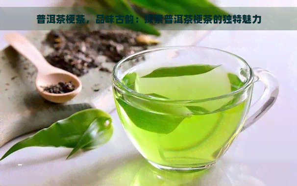 普洱茶梗茶，品味古韵：探索普洱茶梗茶的独特魅力