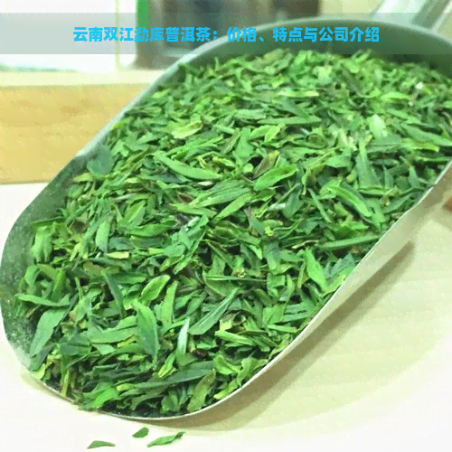 云南双江勐库普洱茶：价格、特点与公司介绍