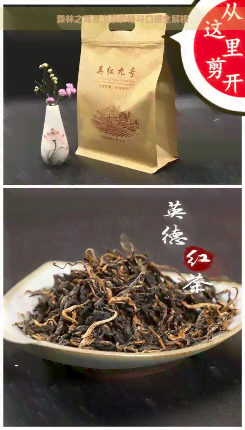 森林之味普洱茶价格与口感全解析