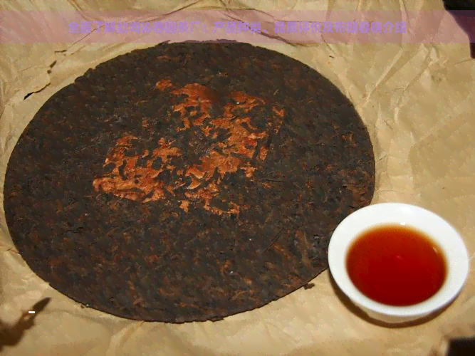 全面了解勐海沁春园茶厂：产品种类、品质评价及布朗春晓介绍