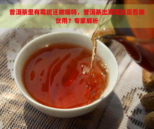 普洱茶里有霉斑还能喝吗，普洱茶出现霉斑是否能饮用？专家解析