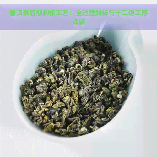 普洱茶后期制作工艺：全过程解析与十二道工序详解