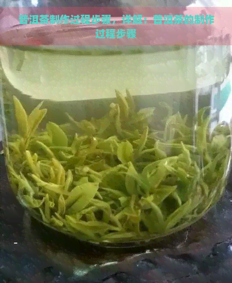 普洱茶制作过程步骤，详解：普洱茶的制作过程步骤