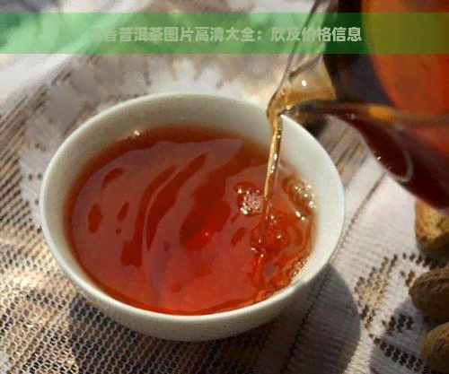 糯香普洱茶图片高清大全：欣及价格信息