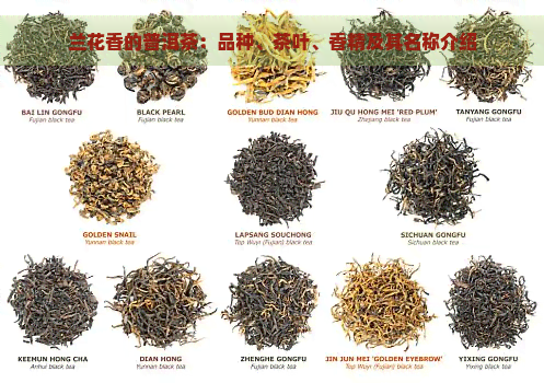 兰花香的普洱茶：品种、茶叶、香精及其名称介绍