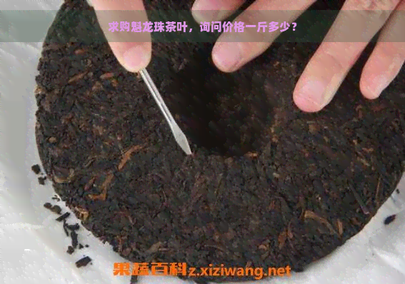 求购魁龙珠茶叶，询问价格一斤多少？