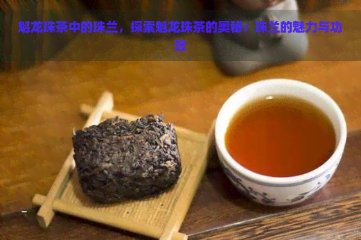 魁龙珠茶中的珠兰，探索魁龙珠茶的奥秘：珠兰的魅力与功效