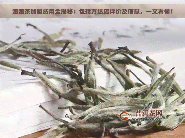 淘淘茶加盟费用全揭秘：包括万达店评价及信息，一文看懂！