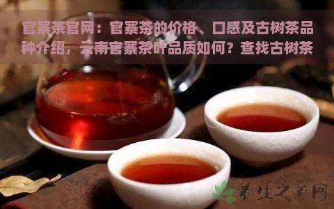 官寨茶官网：官寨茶的价格、口感及古树茶品种介绍，云南官寨茶叶品质如何？查找古树茶饼价格