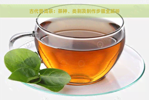 古代普洱茶：茶种、类别及制作步骤全解析