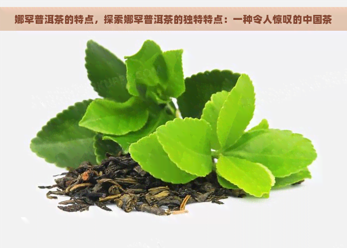 娜罕普洱茶的特点，探索娜罕普洱茶的独特特点：一种令人惊叹的中国茶