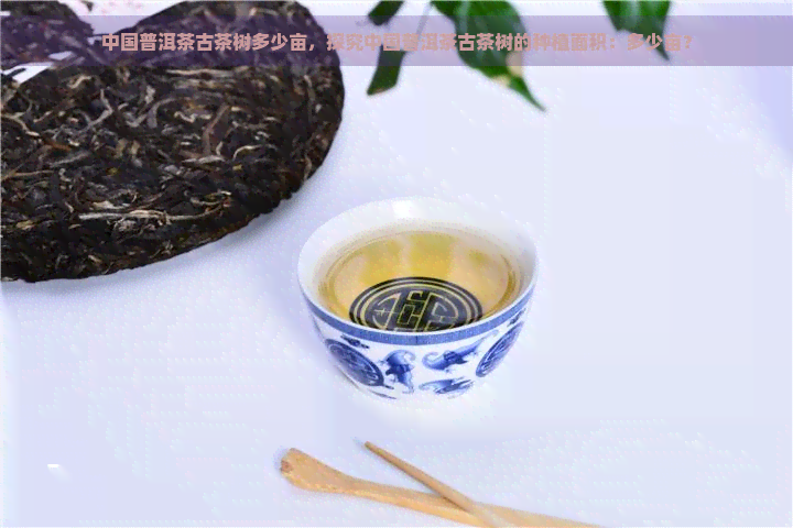 中国普洱茶古茶树多少亩，探究中国普洱茶古茶树的种植面积：多少亩？