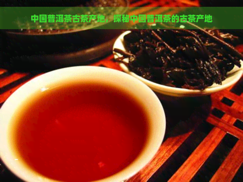 中国普洱茶古茶产地，探秘中国普洱茶的古茶产地