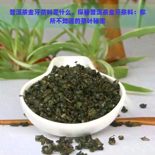 普洱茶金牙茶料是什么，探秘普洱茶金牙茶料：你所不知道的茶叶秘密