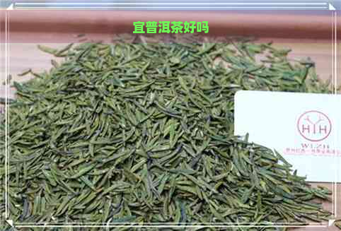 宜普洱茶好吗