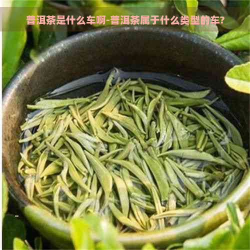 普洱茶是什么车啊-普洱茶属于什么类型的车?