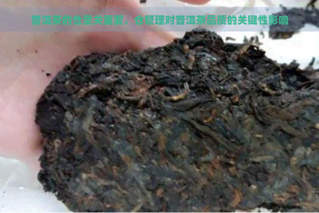 普洱茶的仓至关重要，仓管理对普洱茶品质的关键性影响