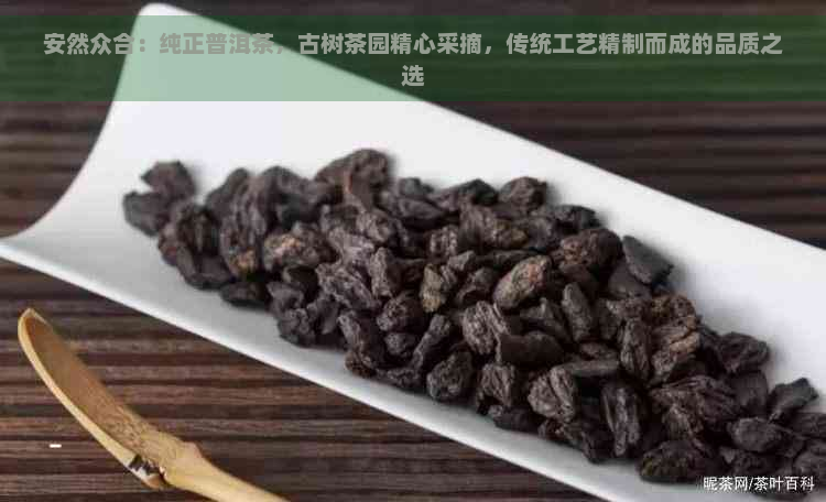 安然众合：纯正普洱茶，古树茶园精心采摘，传统工艺精制而成的品质之选